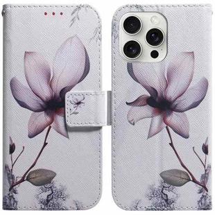 For iPhone 16 Pro Coloured Drawing Flip Leather Phone Case(Magnolia)