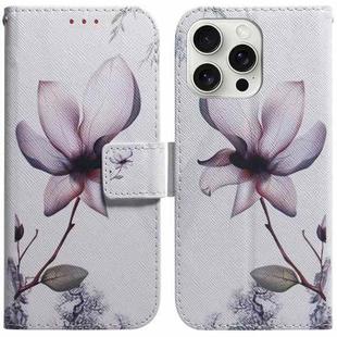 For iPhone 16 Pro Max Coloured Drawing Flip Leather Phone Case(Magnolia)