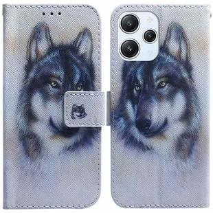 For Xiaomi Redmi 12 Coloured Drawing Flip Leather Phone Case(White Wolf)