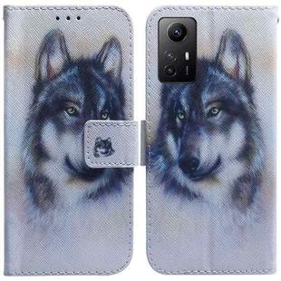 For Xiaomi Redmi Note 12S Coloured Drawing Flip Leather Phone Case(White Wolf)