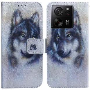 For Xiaomi 13T / 13T Pro / Redmi K60 Ultra Coloured Drawing Flip Leather Phone Case(White Wolf)