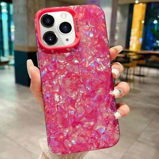 For iPhone 11 Pro IMD Shell Texture TPU + Acrylic Phone Case(Rose Red)