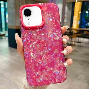 For iPhone XR IMD Shell Texture TPU + Acrylic Phone Case(Rose Red)