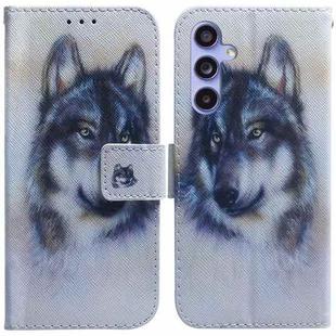 For Samsung Galaxy S23 FE 5G Coloured Drawing Flip Leather Phone Case(White Wolf)