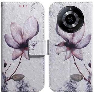 For Realme 11 5G/Narzo 60 India Version Coloured Drawing Flip Leather Phone Case(Magnolia)