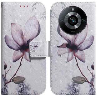 For Realme 11 Pro 5G/11 Pro+ 5G/Narzo 60 Pro 5G Coloured Drawing Flip Leather Phone Case(Magnolia)