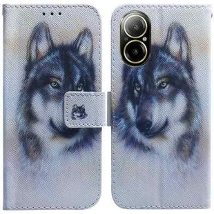 For Realme C67 4G Global Coloured Drawing Flip Leather Phone Case(White Wolf)