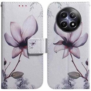 For Realme 12 5G Coloured Drawing Flip Leather Phone Case(Magnolia)