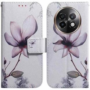 For Realme 13+ Global Coloured Drawing Flip Leather Phone Case(Magnolia)