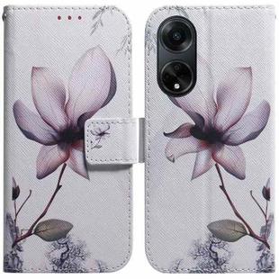 For OPPO A98 5G / F23 5G India Coloured Drawing Flip Leather Phone Case(Magnolia)