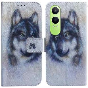 For OPPO K12x Coloured Drawing Flip Leather Phone Case(White Wolf)