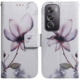 For OPPO Reno12 Pro 5G Global Coloured Drawing Flip Leather Phone Case(Magnolia)