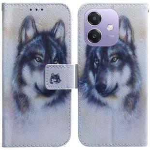 For OPPO A5x 5G / A3 4G / 5G / A3x 4G / 5G Coloured Drawing Flip Leather Phone Case(White Wolf)
