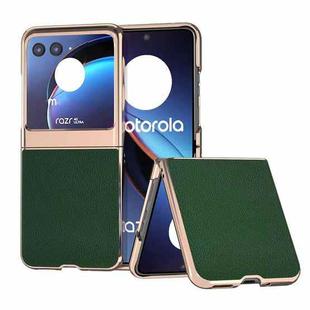 For Motorola Razr 40 Ultra Genuine Leather Mino Series Nano Plating Phone Case(Green)