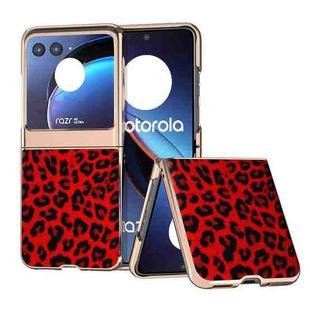 For Motorola Razr 40 Ultra Nano Plating Leopard Print Phone Case(Red)