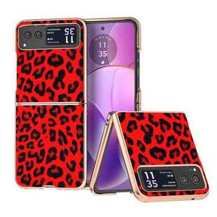 For Motorola Razr 40 Nano Plating Leopard Print Phone Case(Red)