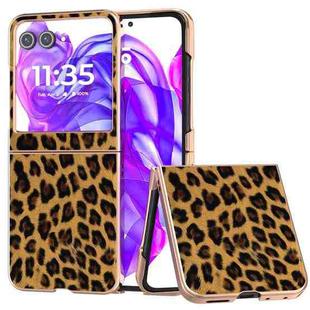 For Motorola Razr 50 Nano Plating Leopard Print Phone Case(Brown)