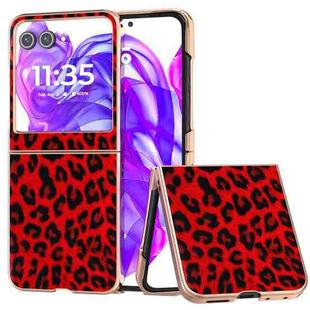 For Motorola Razr 50 Nano Plating Leopard Print Phone Case(Red)