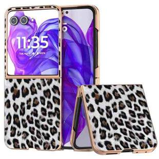 For Motorola Razr 50 Ultra Nano Plating Leopard Print Phone Case(Silver)