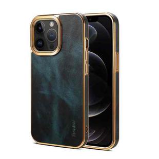 For iPhone 12 Pro Denior Oil Wax Cowhide Plating Phone Case(Blue)