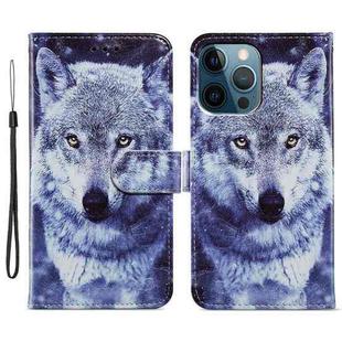 For iPhone 15 Pro Max Colored Drawing Leather Phone Case(White Wolf)