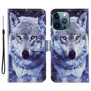 For iPhone 15 Pro Colored Drawing Leather Phone Case(White Wolf)