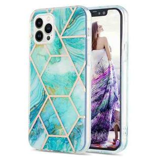 For iPhone 15 Pro Electroplating Splicing Marble Flower Pattern Dual-side IMD TPU Shockproof Phone Case(Blue)