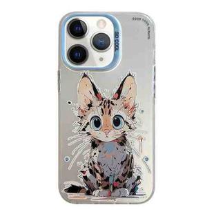 For iPhone 11 Pro Max Animal Pattern Oil Painting Series PC + TPU Phone Case(Stupid Cat)