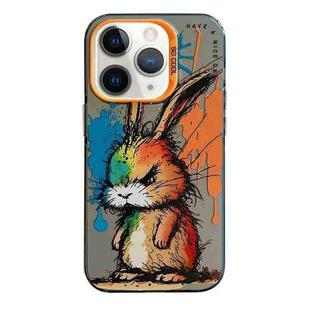 For iPhone 11 Pro Max Animal Pattern Oil Painting Series PC + TPU Phone Case(Fat Rabbit)