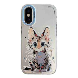 For iPhone X / XS Animal Pattern Oil Painting Series PC + TPU Phone Case(Stupid Cat)