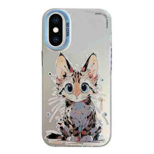 For iPhone XS Max Animal Pattern Oil Painting Series PC + TPU Phone Case(Stupid Cat)
