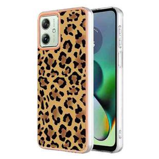 For Motorola Moto G54 Electroplating Marble Dual-side IMD Phone Case(Leopard Print)