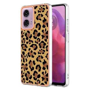 For Motorola Moto G04 4G / G24 4G Electroplating Marble Dual-side IMD Phone Case(Leopard Print)