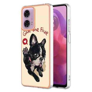 For Motorola Moto G04 4G / G24 4G Electroplating Marble Dual-side IMD Phone Case(Lucky Dog)