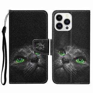For iPhone 15 Pro 3D Colored Drawing Flip Leather Phone Case(Black Cat)