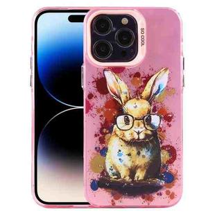 For iPhone 14 Pro Animal Pattern PC Phone Case(Rabbit)