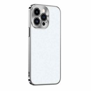 For iPhone 13 Pro Max Starshine Frosted Series Airbag Shockproof Phone Case(White)