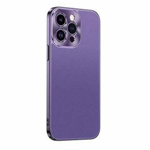 For iPhone 12 Pro Max Starshine Frosted Series Airbag Shockproof Phone Case(Purple)