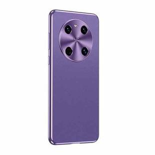 For Huawei Mate 40 Starshine Frosted Series Airbag Shockproof Phone Case(Purple)