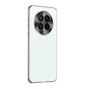For Huawei Mate 50 Starshine Frosted Series Airbag Shockproof Phone Case(White)