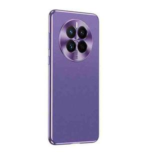 For Huawei Mate 50 Starshine Frosted Series Airbag Shockproof Phone Case(Purple)