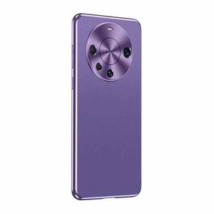 For Huawei Mate 60 Pro Starshine Frosted Series Airbag Shockproof Phone Case(Purple)