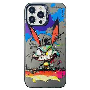 For iPhone 14 Pro Double Layer Color Silver Series Animal Oil Painting Phone Case(Big Eyed Bunny)