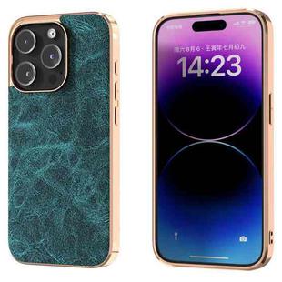 For iPhone 14 Pro Max Dream Litchi Texture PU Phone Case(Blue)