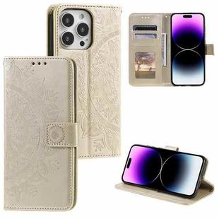 For iPhone 16 Pro Max Totem Flower Embossed Leather Phone Case(Gold)