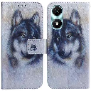 For Honor X5 Plus / Play 40C Coloured Drawing Flip Leather Phone Case(White Wolf)