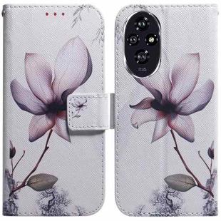 For Honor 200 Coloured Drawing Flip Leather Phone Case(Magnolia)