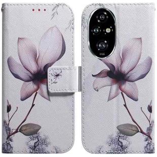 For Honor 200 Pro Coloured Drawing Flip Leather Phone Case(Magnolia)