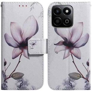 For Honor Play 60 Plus Coloured Drawing Flip Leather Phone Case(Magnolia)