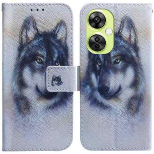 For OnePlus Nord CE 3 Lite/Nord N30 Coloured Drawing Flip Leather Phone Case(White Wolf)